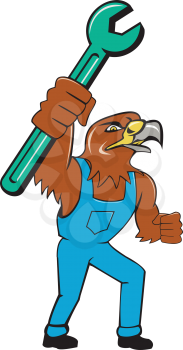 Illustration of a hawk mechanic standing raising up pipe spanner set on isolated white background done in cartoon style. 