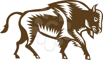 Illustration of an american bison buffalo bull viewed from the side set on isolated white background done in retro woodcut style. 