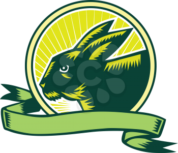 Illustration of a bunny head viewed from the side set inside circle and ribbon with sunburst in the background done in retro woodcut style. 