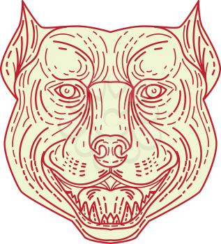 Mono line style illustration of an angry pitbull dog mongrel head facing front set on isolated white background.