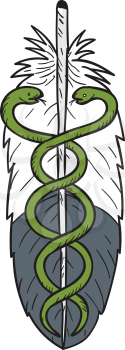 Drawing sketch style illustration of a medical snake intertwined in eagle feather viewed from front set on isolated white background.