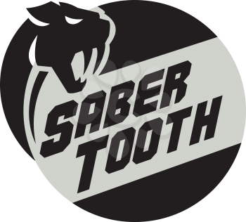 Illustration of a saber tooth tiger or sabre-tooth cat with long, curved saber-shaped canine teeth of which the best known genera is Smilodon head viewed from the side with the word text Saber Tooth s