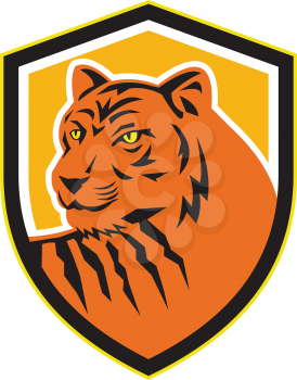 Illustration of a tiger head viewed from front set inside shield crest on isolated ackground done in retro style.