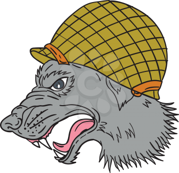 Drawing sketch style illustration of grey wolf head wearing world war two helmet growling viewed from the side set on isolated white background. 