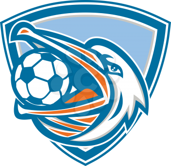 Illustration of a head of a pelican bird with soccer or football ball inside mouth looking up to the side set inside shield crest done in retro style. 