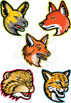 Sports mascot icon set of heads of wild dogs and cats like the African wild dog or painted hunting dog, dhole or Asiatic wild dog, maned wolf, manul or Pallas cat and margay wild cat on isolated background in retro style.