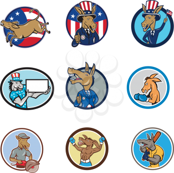 Set or collection of cartoon character mascot style illustration of a donkey, mule, horse, or jackass set inside circle with American USA stars and stripes flag on isolated white background.