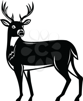 Retro woodcut style illustration of a white-tailed buck deer, whitetail or Virginia deer, a medium-sized deer native to North and South America side view on isolated background done black and white.