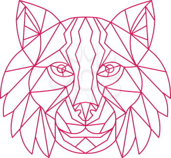Mono line illustration of a Lynx Bobcat, medium-sized wild cat, head viewed from front on isolated background.