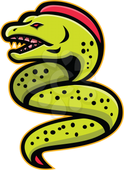 Mascot icon illustration of an angry moray eel or muraenidae with pharyngeal jaw going up viewed from side on isolated background in retro style.