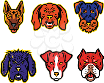 Mascot icon illustration set of heads of working or hunting dogs like the German Shepherd, Hungarian Vizsla, Jagdterrier, Newfoundland Dog, Plummer Terrier and Red Tiger Bulldog  viewed from  on isolated background in retro style.