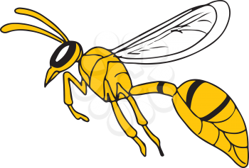 Drawing sketch style illustration of a wasp or hornet flying viewed from side on isolated white background.