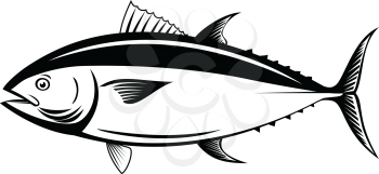 Retro style illustration of an Atlantic bluefin tuna, northern bluefin tuna, giant bluefin tuna or tunny, a fish species in the family Scombridae viewed from side isolated background black and white.