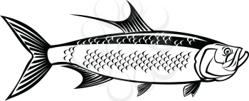 Retro style illustration of an Atlantic tarpon, Megalops atlanticus, Tarpon atlanticus silver king, grand Ecaille or sabalo real, viewed from side on isolated background done in black and white.