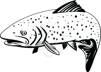 Retro black and white style illustration of a rainbow trout, a trout and species of salmonid native to  the Pacific Ocean in Asia and North America swimming to left on isolated background.