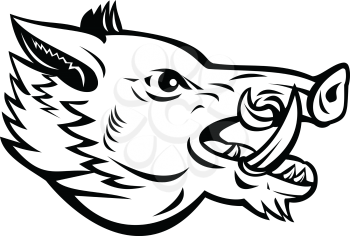Mascot illustration of head of a wild boar, Sus scrofa, wild swine, common wild pig, a suid native to much of the Palearctic viewed from side on isolated background in retro black and white style.