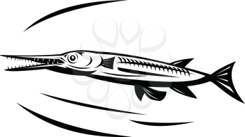Retro style illustration of a Needlefish (family Belonidae) or long tom, a piscivorous fish swimming viewed from side on isolated background done in black and white.