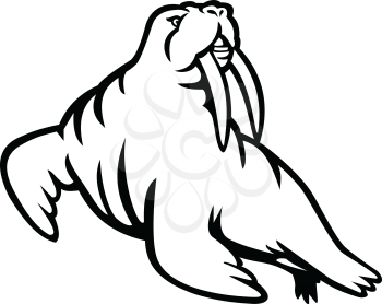 Black and white mascot illustration of a male mustached and long-tusked Atlantic or Pacific walrus, a large flippered marine mammal  viewed from side on isolated background in retro style.