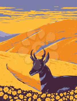 WPA poster art of pronghorn and wild flowers growing in grassland of Carrizo Plain National Monument San Luis Obispo County California in works project administration or Federal Art Project style.