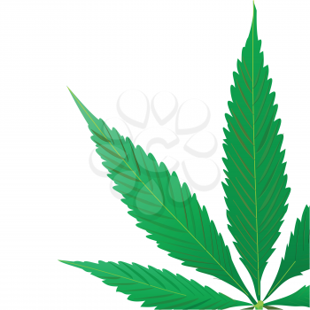 Royalty Free Clipart Image of a Cannabis Leaf