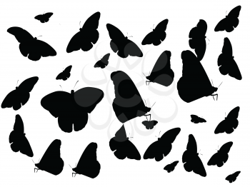 Royalty Free Clipart Image of Butterfly Silhouettes on White