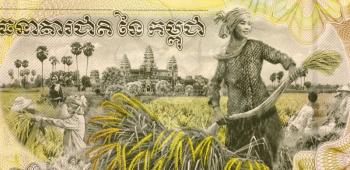 Royalty Free Photo of a Woman Harvesting Rice on 2000 Rieles 2007 Banknote from Cambodia.