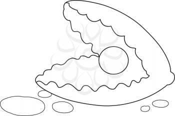 illustration of a cockleshell outlined
