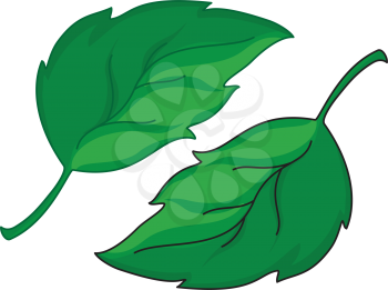 Royalty Free Clipart Image of Two Green Leaves
