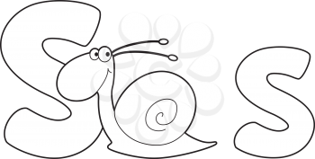 illustration of a letter S snail outlined