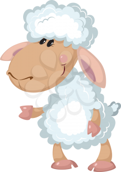 illustration of a beautiful sheep