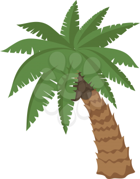 illustration of a big palm