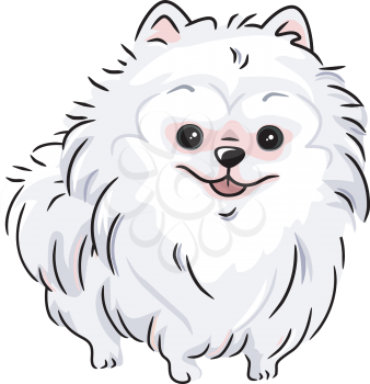 Illustration Featuring a White Pomeranian