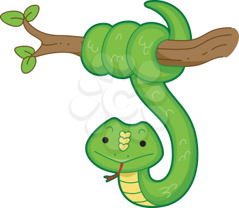 Illustration of a Snake Hanging from the Branch of a Tree