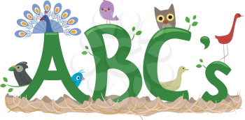 Text Illustration Featuring Birds - ABCs of Birds