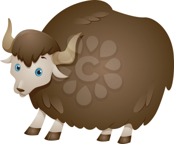 Illustration of a Yak with a Thick Wooly Coat
