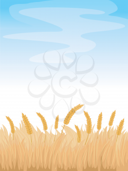 Background Illustration Featuring a Wheatfield Under a Clear Blue Sky