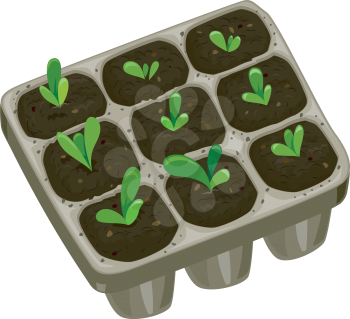Illustration Featuring a Seedling Tray Filled with Saplings