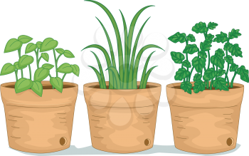Illustration Featuring Potted Herbs