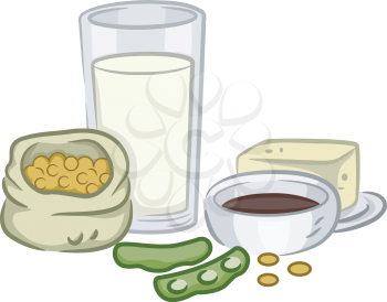 Illustration of a Group of Soya Beans and Products