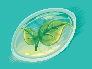 Illustration of Leaves Inside a Soft Gel Capsule