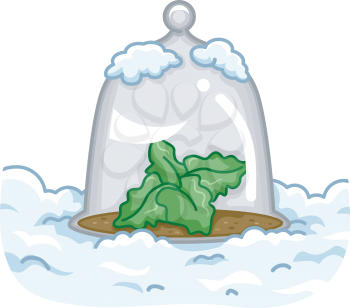 Illustration of a Glass Cloche with a Plant Inside