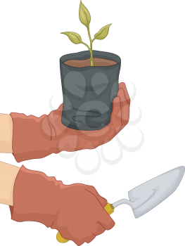 Illustration of a Gardener Holding a Sapling in One Hand and a Spade in the Other