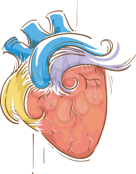Colorful Sketchy Illustration of a Heart Pulsating with Life