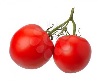 Branch of red tomatto, isolated on a white background