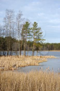 Royalty Free Photo of a Lake