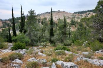 Royalty Free Photo of Jerusalem in May