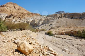 Royalty Free Photo of a Desert Landscape at the Ein Gedi Nature Reserve
