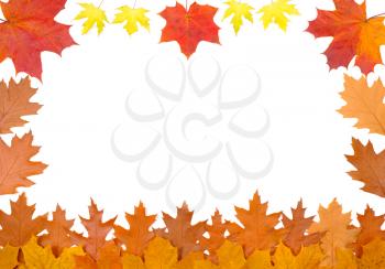 Royalty Free Photo of an Autumn Leaf Border