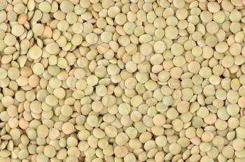 Royalty Free Photo of a Lentil Background