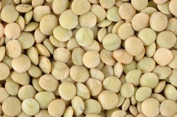 Royalty Free Photo of a Lentil Background